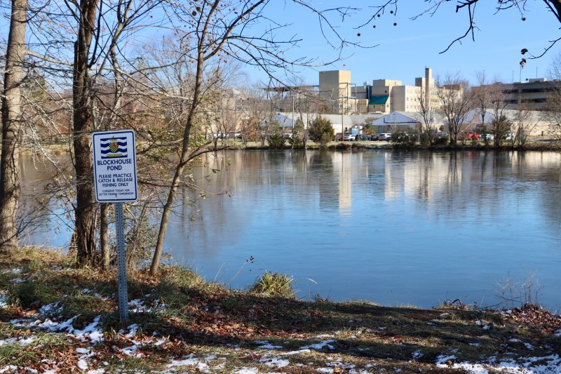 The proposed location for the first fishing platform on Blockhouse Pond is opposite the playground. A working group announced findings for a shoreline restoration, including the platforms and revegetation. BILL SHULL PHOTOS